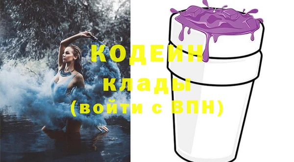 трава Богородицк