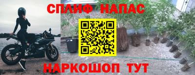 гидра Пушкино