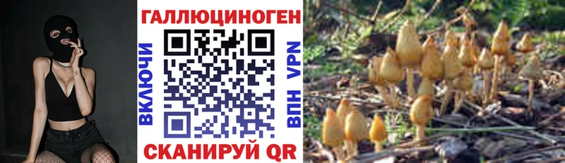 мега онион  Сланцы  Псилоцибиновые грибы прущие грибы 