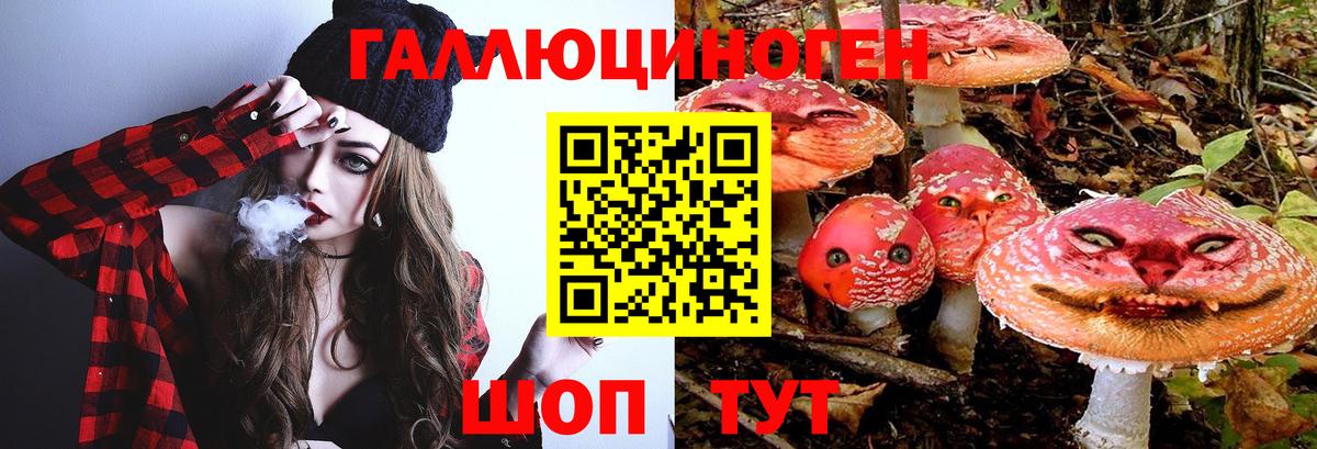Псилоцибиновые грибы Magic Shrooms Сланцы