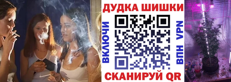 Конопля семена  Сланцы 